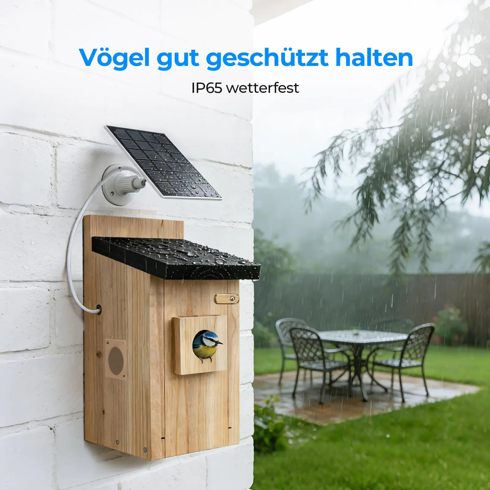 TWOPOINT R-Birds-WSC nistkastid toote esivaade 6