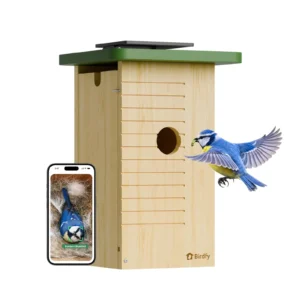 Birdfy linnumaja kaameraga eestvaates