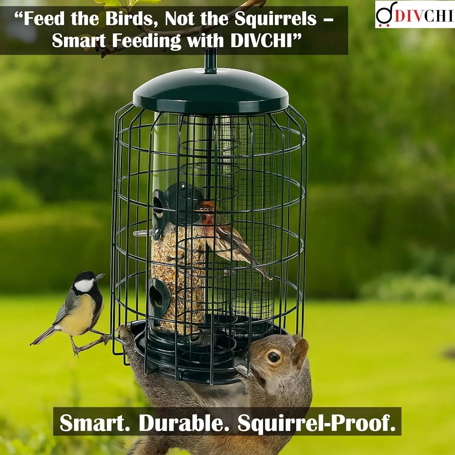 DIVCHI Cage 3 in 1 bird Feeder söötmisjaamad detailne lähivaade 7
